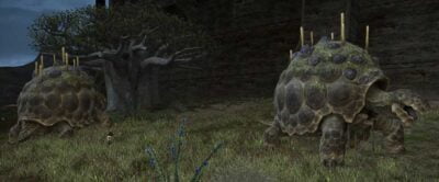 Two Giant Tortoises near the wall of Ul'dah in Central Thanalan