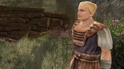 LOTRO Giles Chadwick - Just outside Trestlebrige Gate (from Bree-land)