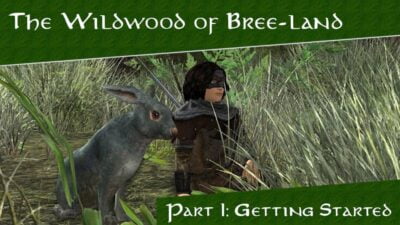 LOTRO Wildwood of Bree-land Guide - How to Get Started in the Wildwoods!