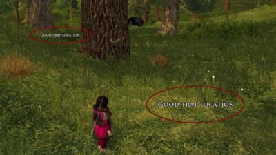 LOTRO Traps in the Wild - Good Trap Location examples