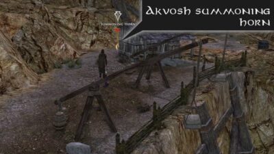 LOTRO Bounty: Akvosh - Location of Summoning Horn - Wildwood