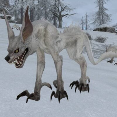 FFXIV Snow Wolf Pup Lancer (lnc) Hunting Log Rank 4 target
