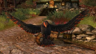 LOTRO Cinder Hawk Cosmetic Pet - Defenders of the Angle