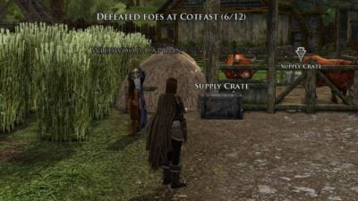 LOTRO Cotfast Dailies - LOTRO Wildwood (Supply Crate shown here)