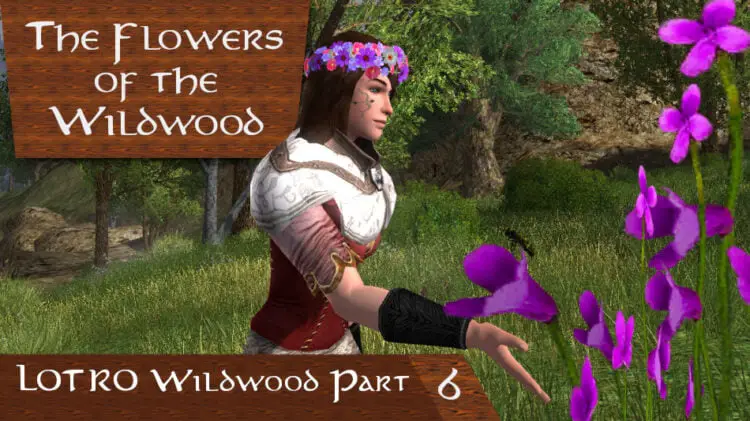LOTRO Flowers of the Wildwood Deed Guide and Map by FibroJedi