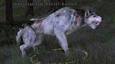 LOTRO Natsulm the Night-Raider Warg - LOTRO Wildwood Factionless Quest