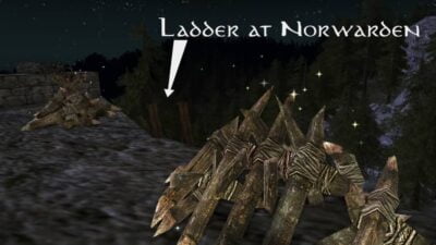 LOTRO Norwarden: Destroying Barricades Wildwoods Quest. Two barricades are up this ladder.