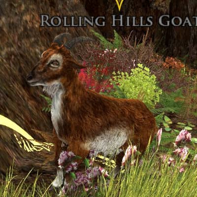 Rolling Hills Goat