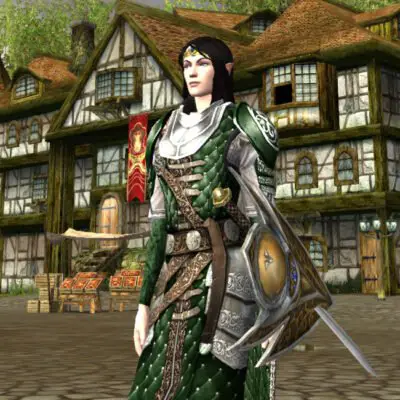 Armour of the Storied Warrior on a Female Elf