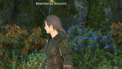 The Bewildered Botanist is your first witness for Hippity Hoppity Happily