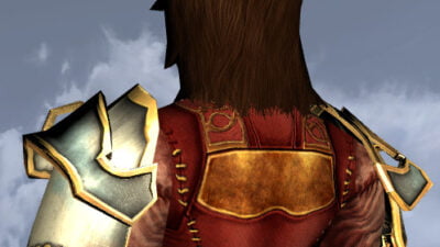 A slightly back view of the Crystal Resolve shoulder cosmetic