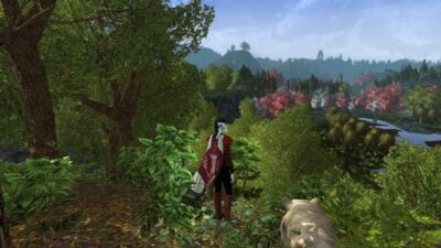 Yondershire was a region introduced by SSG purely focussed on playing LOTRO Solo