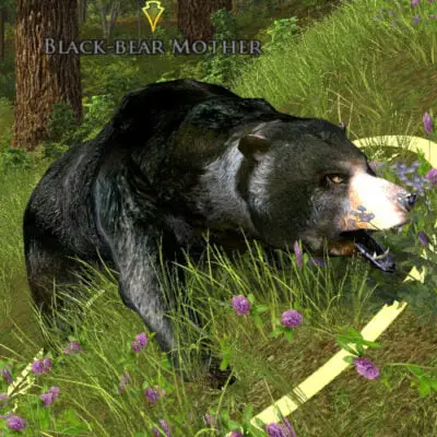 Black-bear Mother - Beast-Slayer of Yondershire