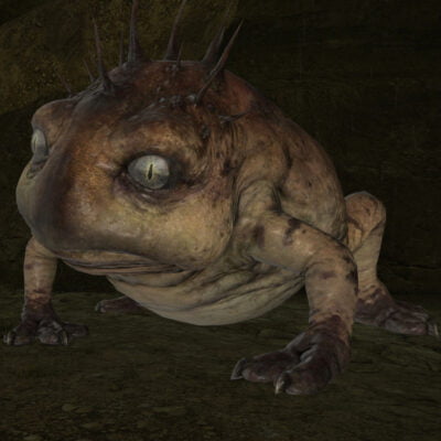 FFXIV  Laughing Toad Conjurer (con) Hunting Log Rank 3 target