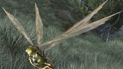 Harvest-fly - LOTRO Yondershire Insect-Slayer Deed