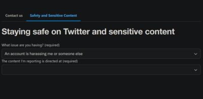 The top of Twitter's Report form