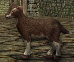LOTRO Tome of the Teacup Goat-Kid Pet - Bugan Event Reward