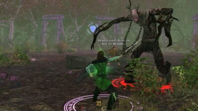 LOTRO Woe of the Willow - Solo