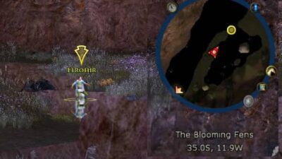 Elrohir's location on the minimap in the Bruinen in Chapter 1