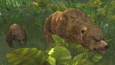 A bear cub and its mother who you help during one of Elladan and Elrohir's Missions