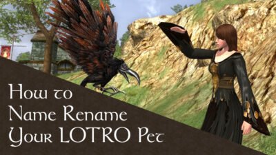 How to Rename Pets in LOTRO | Change Cosmetic Companion Names