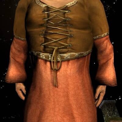 Innkeeper's Dress Male Hobbit