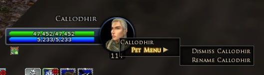Rename your Skirmish Soldier by right-clicking the portrait too.