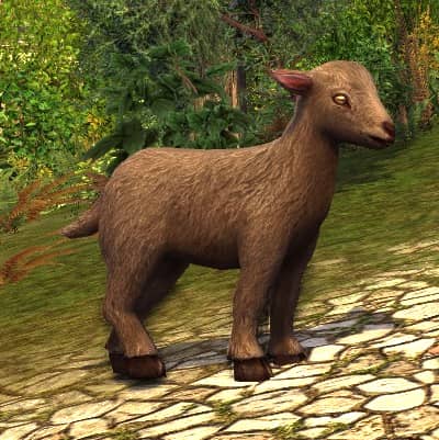 Tome of the Big Goat Kid - Billy - Cosmetic Pet from 2018 Farmers Faire