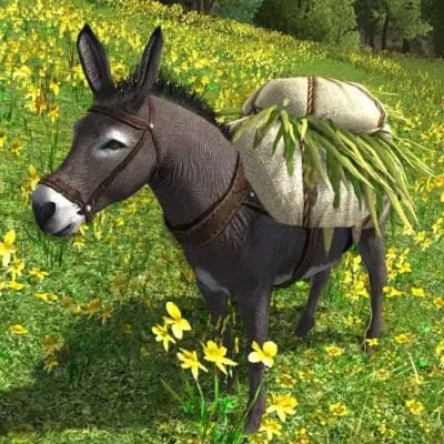 LOTRO Tome of the Feed-Laden Donkey - Farmers Faire Pet
