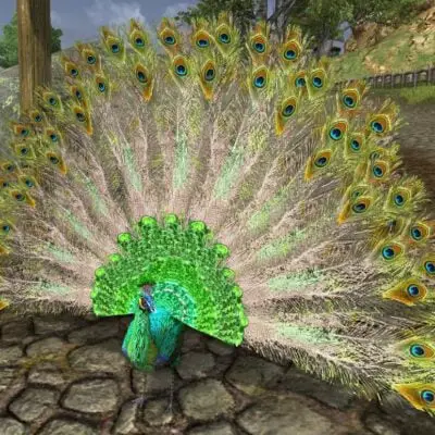 LOTRO Green Peacock Pet Tome