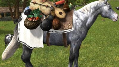 LOTRO Tome of the Picnic Pony Pet | Farmers Faire