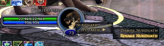 Right click your Lore-Master Pet's portrait to give it a new name.