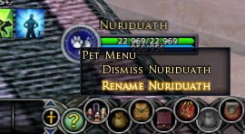 You can rename pets from the Fellowship List