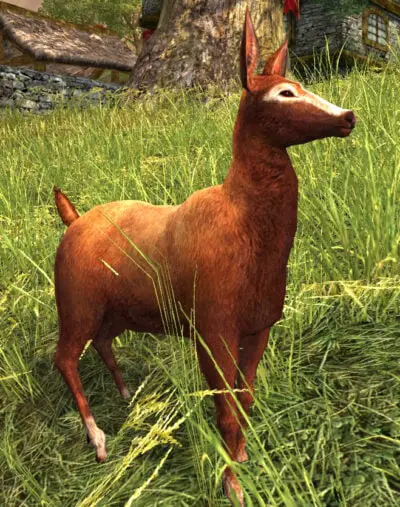 LOTRO Woodland Doe with its ears up.