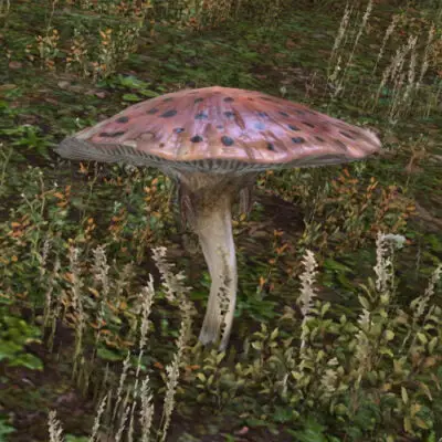 Faerie Funguar trying to disguise itself as a simple toadstool.