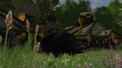 In the LOTRO Beorning Intro, you start outside Grimbeorn's house.