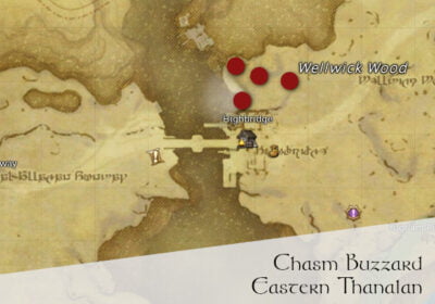 FFXIV Chasm Buzzard Location Map