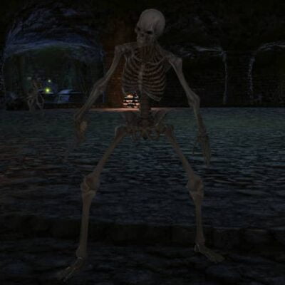 FFXIV Magicked Bones - Hunting Log Rank 2 Target