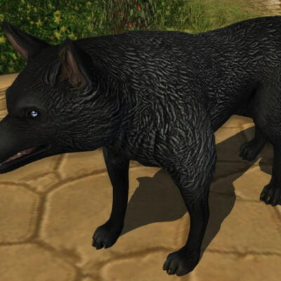 LOTRO Black Marble Wolf-Dog | Fall Festival 2022 Cosmetic Pet