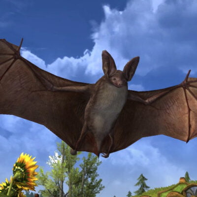 LOTRO Brown Bat Pet | Fall Festival Cosmetic Pet