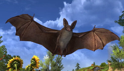LOTRO Brown Bat Pet | Fall Festival Cosmetic Pet