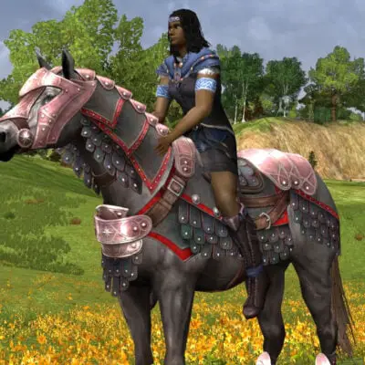 LOTRO Valiant Steed of the Dúnedain - Before the Shadow Mount
