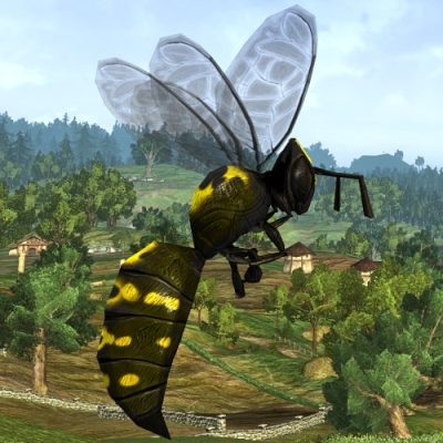 LOTRO Tome of the Big Wasp Pet | Rowan Raspberry