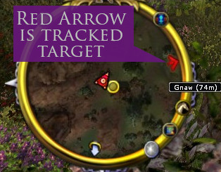 Your tracked target appears as a red arrow then a red dot.