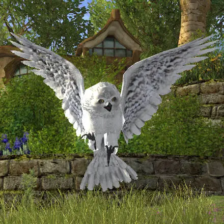 LOTRO Snow Owl Pet in Flight | Yule Festival Cosmetic Pet