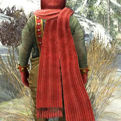LOTRO Snow-Strider's Hooded Mantle and Scarf (Back View) - Yule Festival Cosmetic