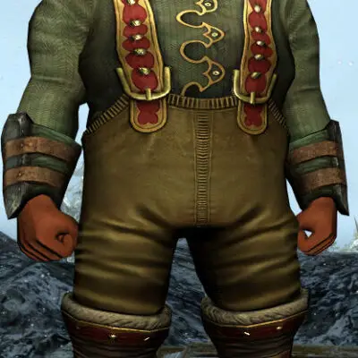 LOTRO Snow-Strider's outfit on a Dwarf