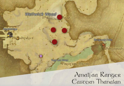 FFXIV Amalj'aa Ranger Location Map