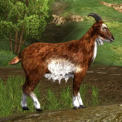 LOTRO Tome of the Sienna Goat Pet | Ill Omens