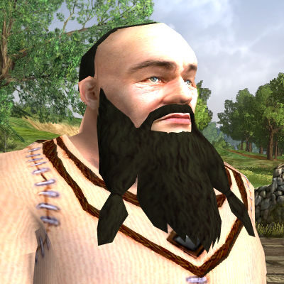 Dwarf Short Hair - Thonged Beard